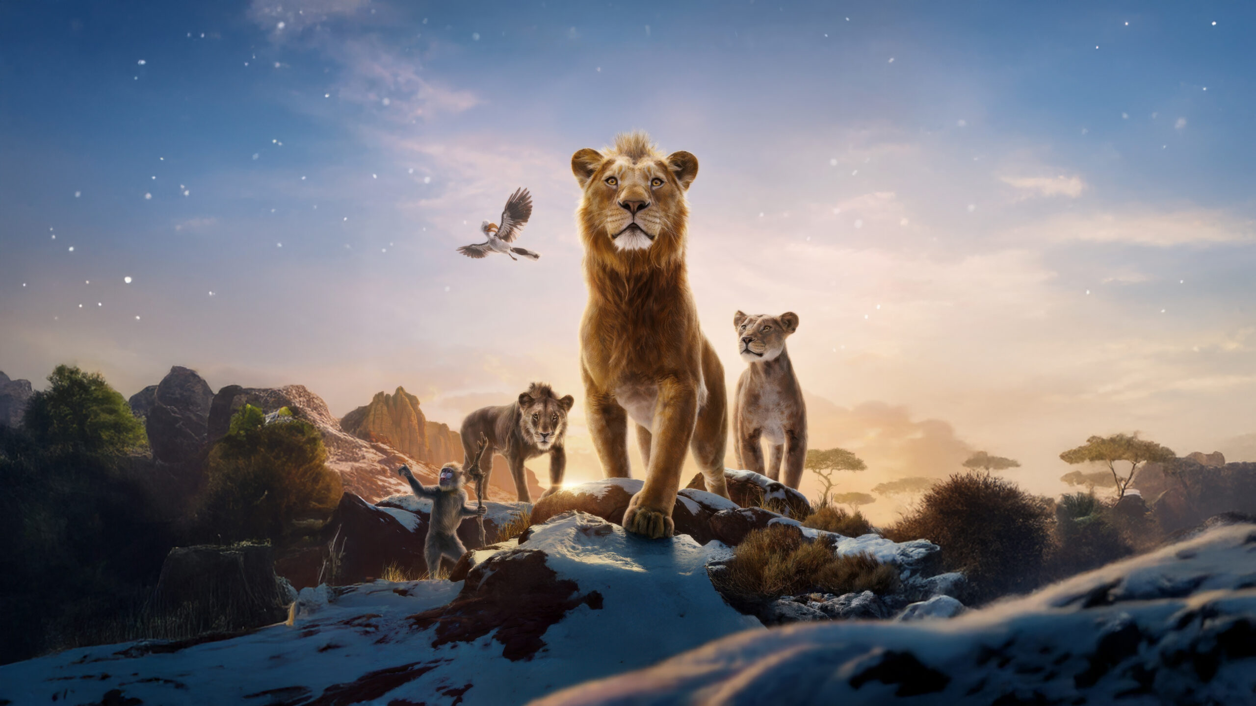 Mufasa: El Rey León — Barry Jenkins inyecta sangre en la sabana digital